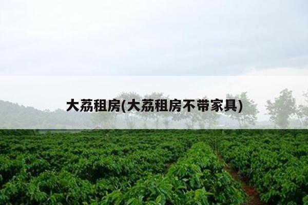 大荔租房(大荔租房不带家具)