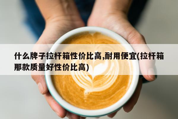 什么牌子拉杆箱性价比高,耐用便宜(拉杆箱那款质量好性价比高)