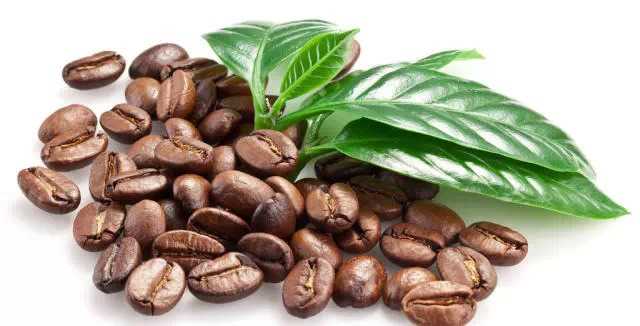 咖啡豆的起源