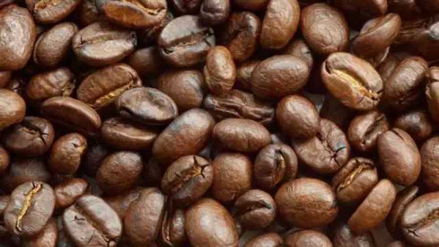 咖啡豆的故事2