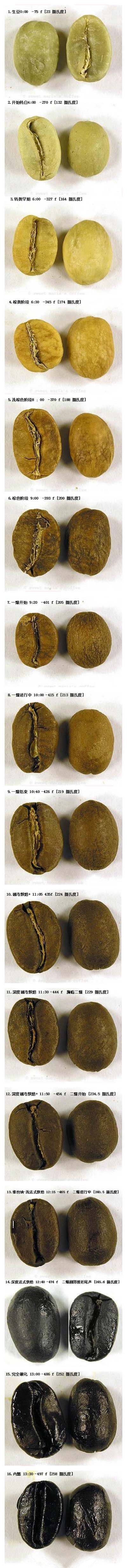 生豆在烘焙过程中的变化